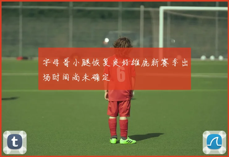 字母哥小腿恢复良好雄鹿新赛季出场时间尚未确定